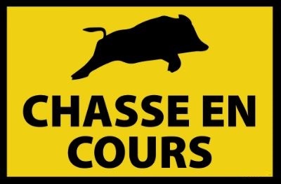 Chasse en cours