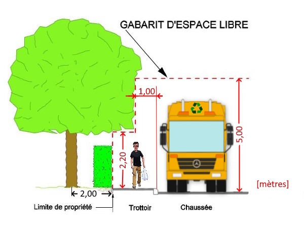 taille haies