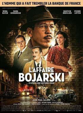 affiche - l affaire bojarski