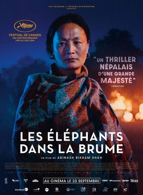 Affiche - Les elephants dans la brume
