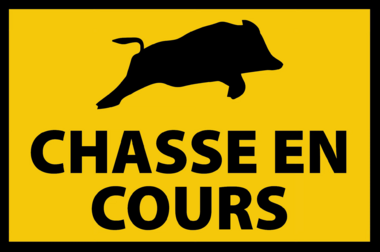 Chasse en cours 2