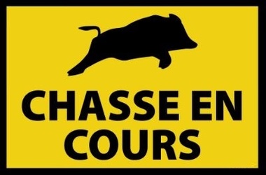 Chasse en cours