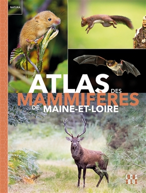 MEDIA_atlas 010723