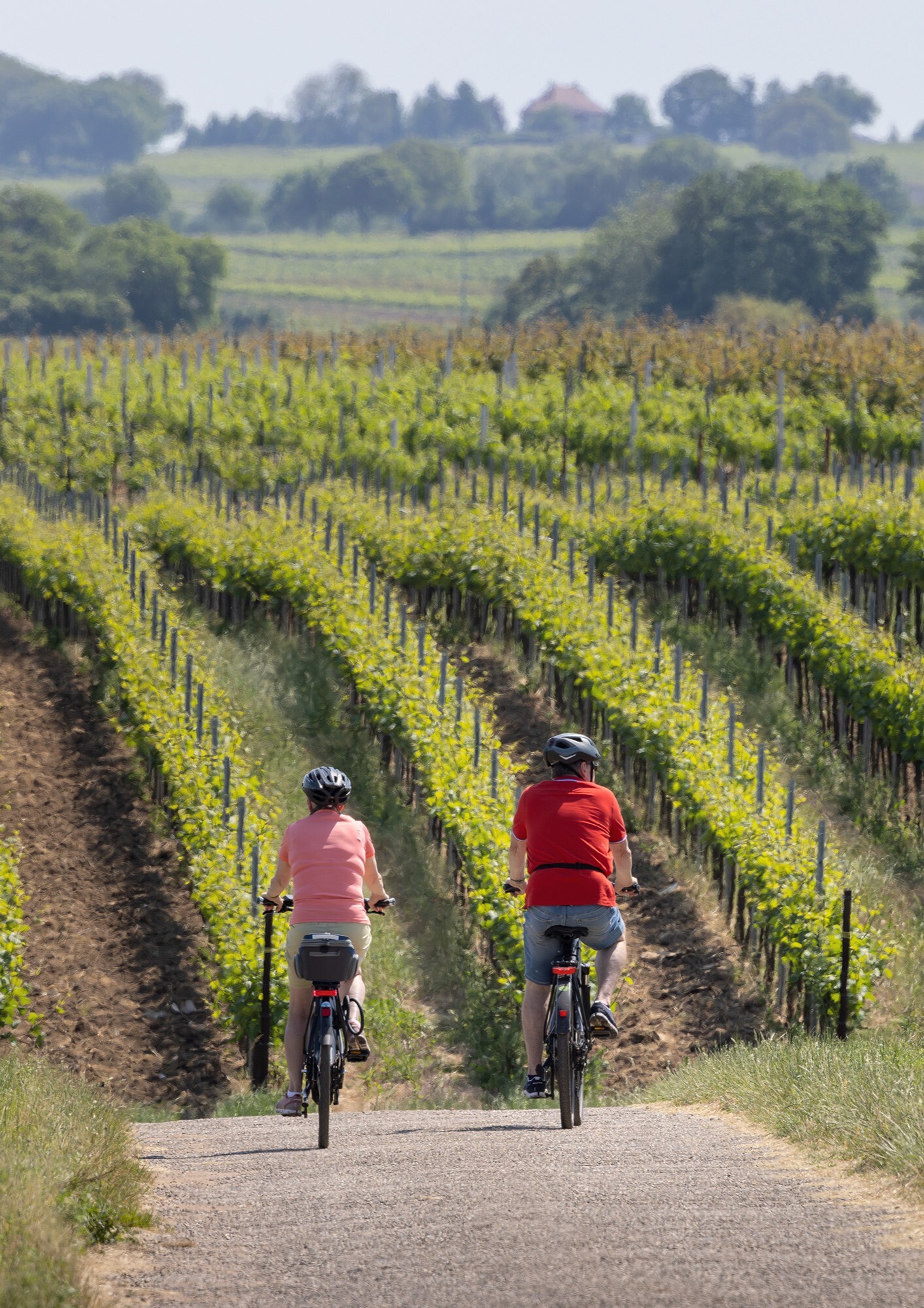 Visuel site sub VAE_2